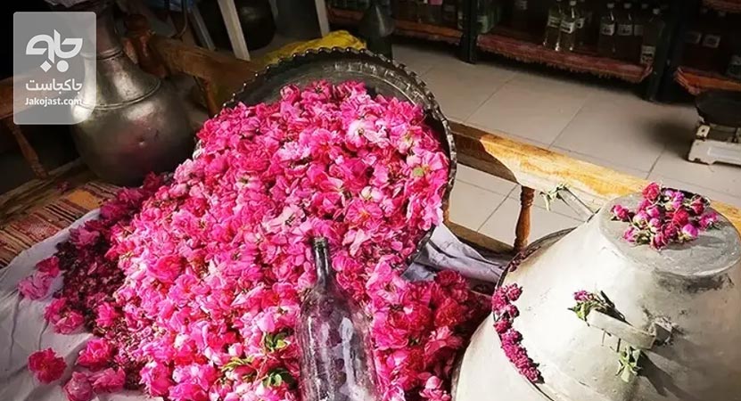 گلاب گیری کاشان