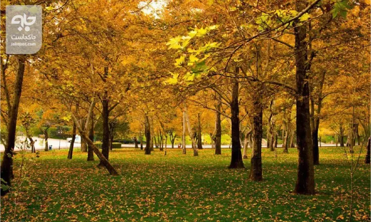 پارک ملت در پاییز